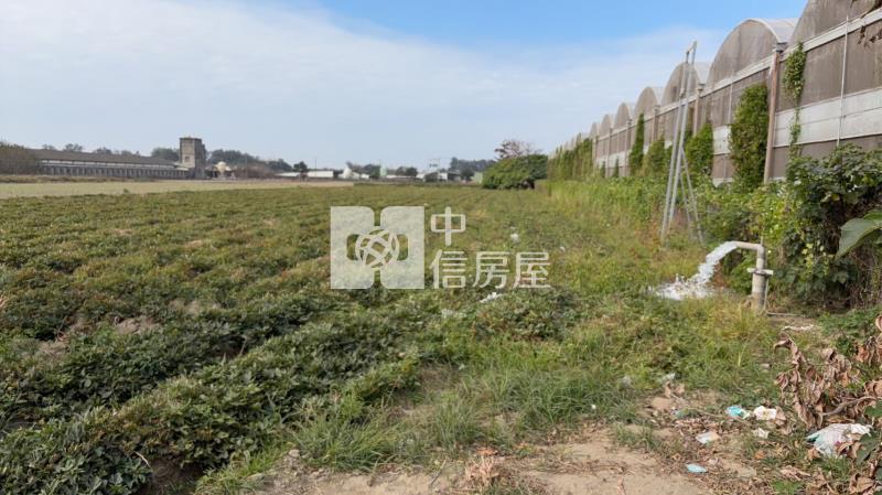 麥寮未來工業區3房屋室內格局與周邊環境