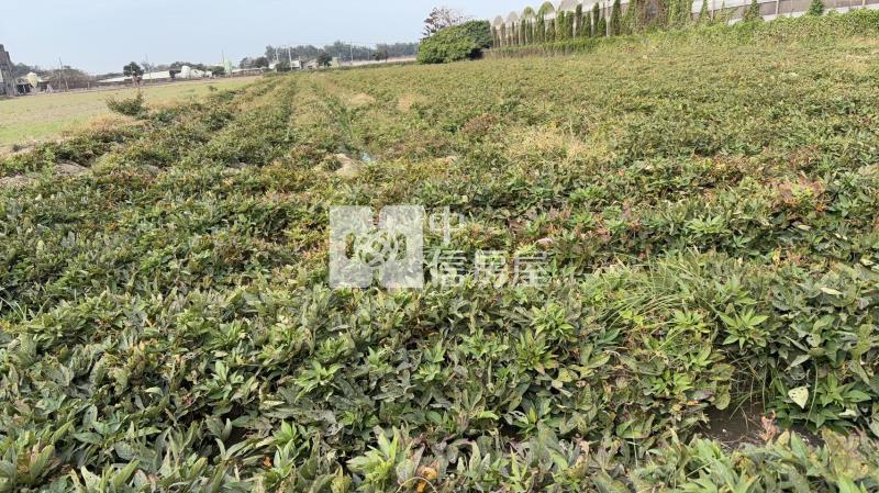 麥寮未來工業區3房屋室內格局與周邊環境