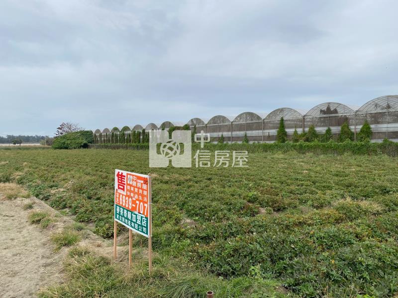 麥寮未來工業區3房屋室內格局與周邊環境