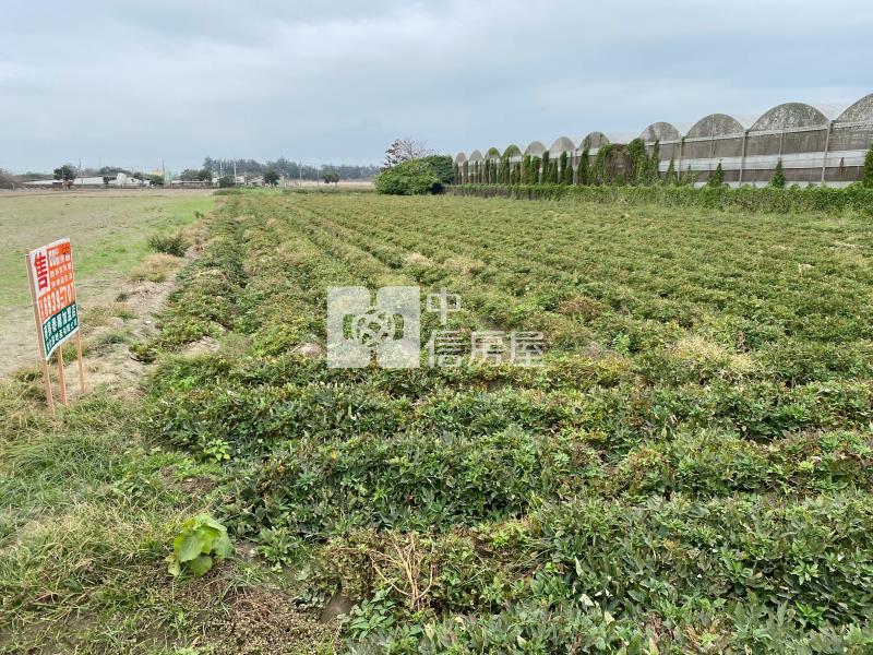 麥寮未來工業區3房屋室內格局與周邊環境