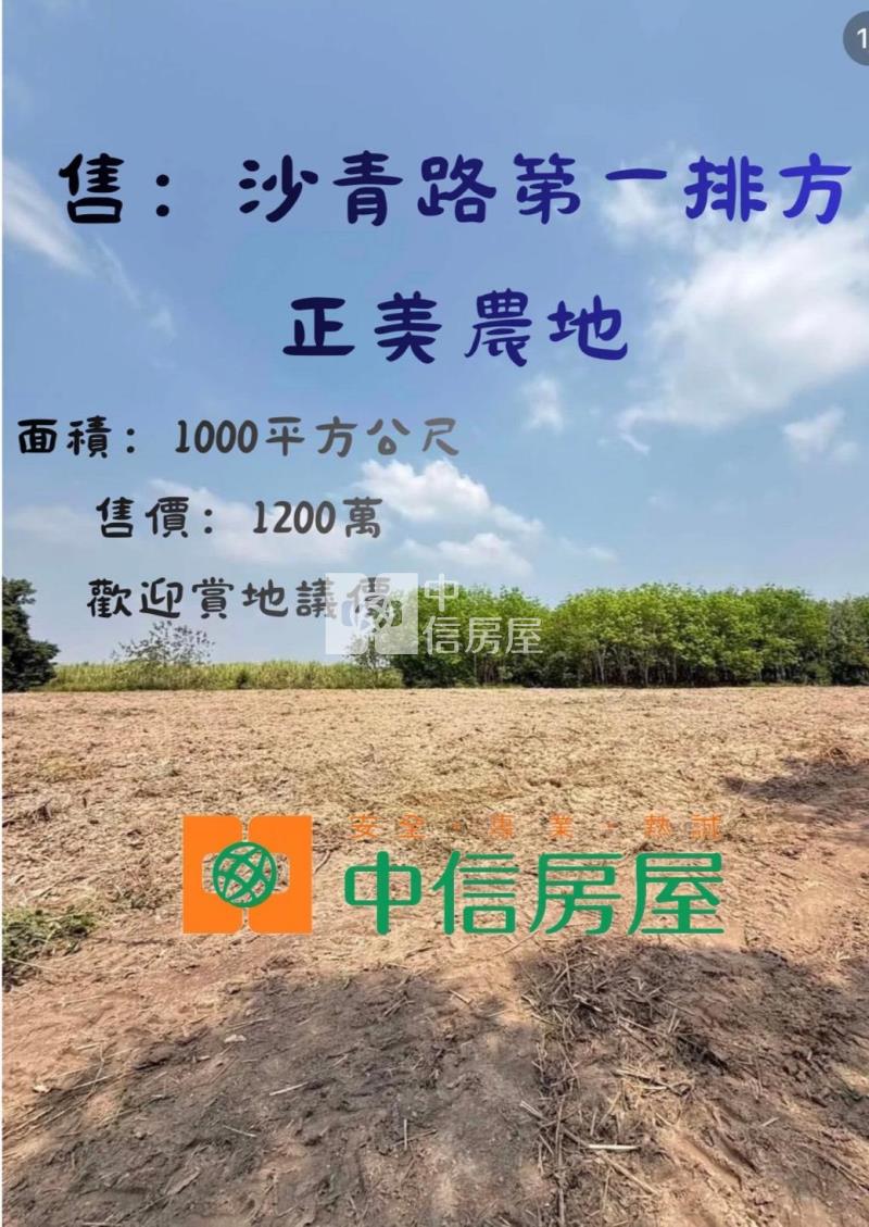 沙青路馬路第一排 大面積美農地房屋室內格局與周邊環境