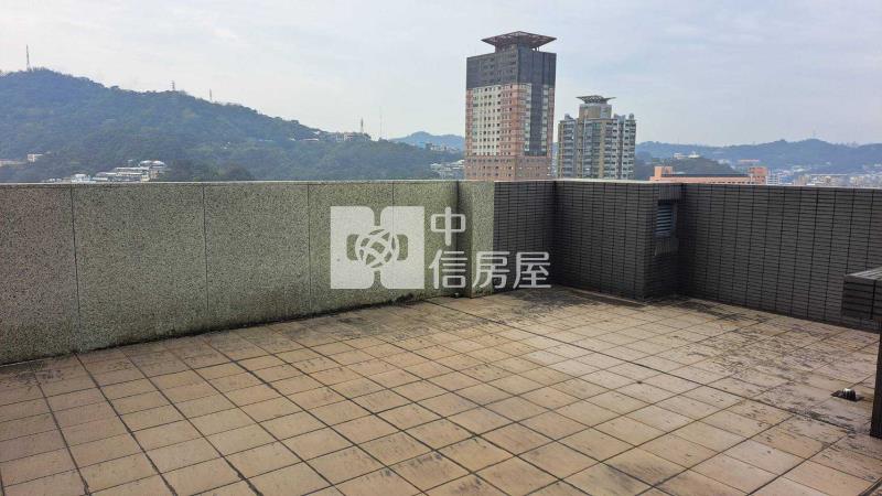 信義君悅指標性帝王宅+二平面車位房屋室內格局與周邊環境