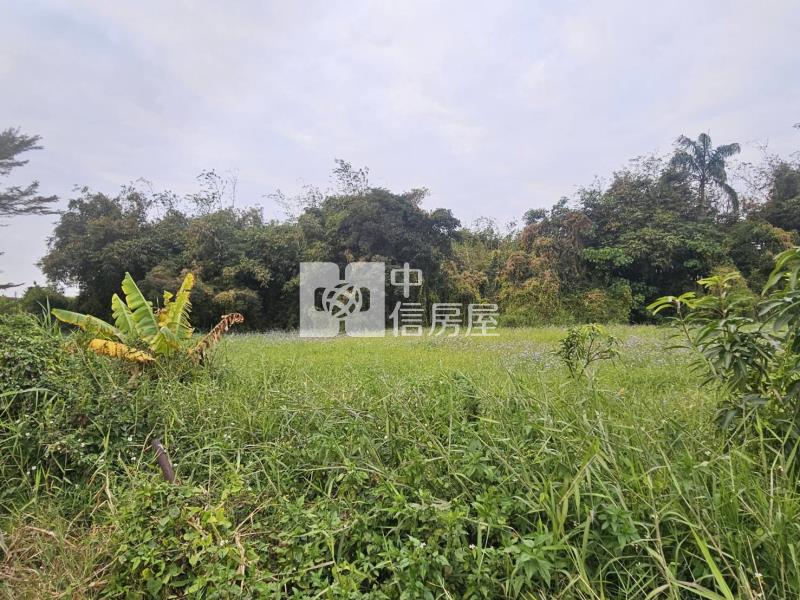 歸仁北段區段徵收內大面寬美美農地房屋室內格局與周邊環境