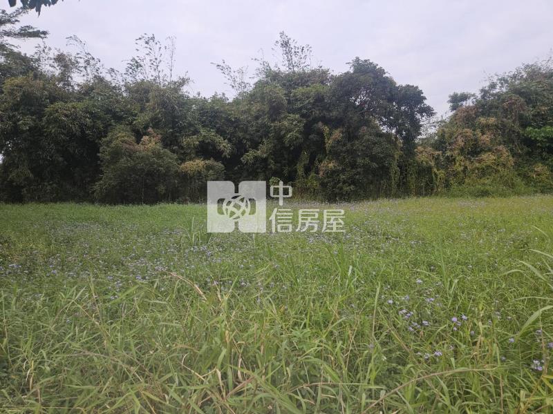 歸仁北段區段徵收內大面寬美美農地房屋室內格局與周邊環境