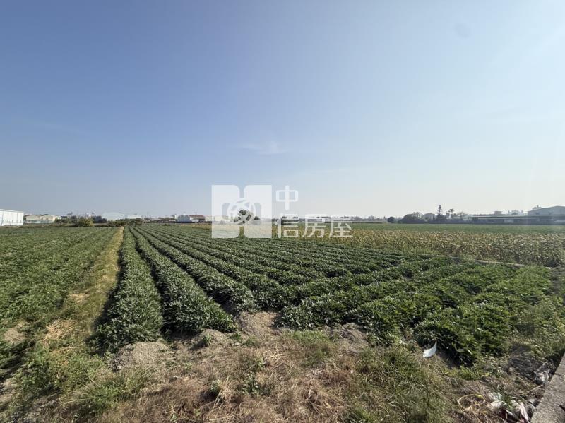 新化1.5分方正農地房屋室內格局與周邊環境