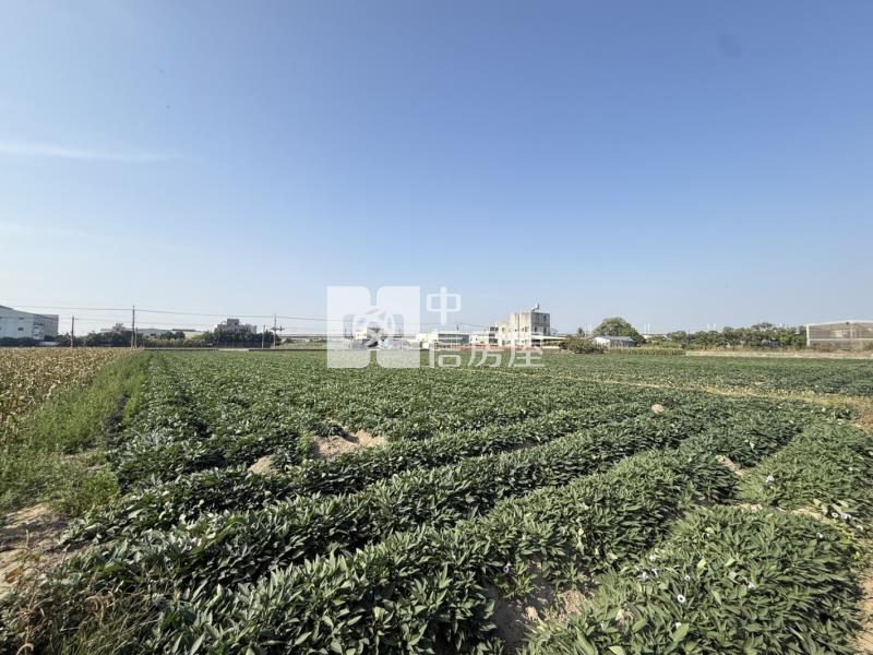 新化1.5分方正農地房屋室內格局與周邊環境