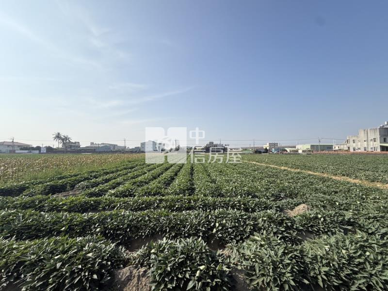 新化1.5分方正農地房屋室內格局與周邊環境