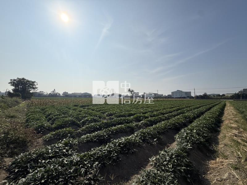 新化1.5分方正農地房屋室內格局與周邊環境