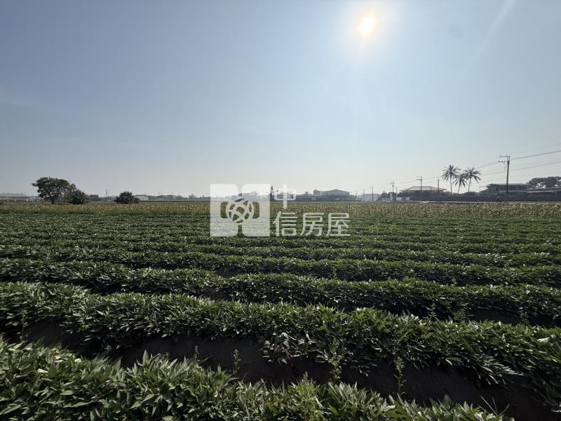 新化1.5分方正農地房屋室內格局與周邊環境