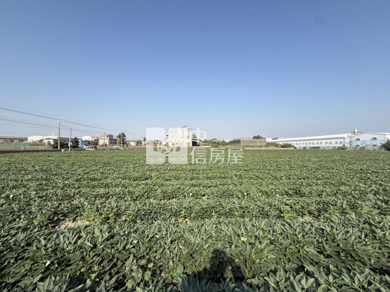 新化1.5分方正農地房屋室內格局與周邊環境