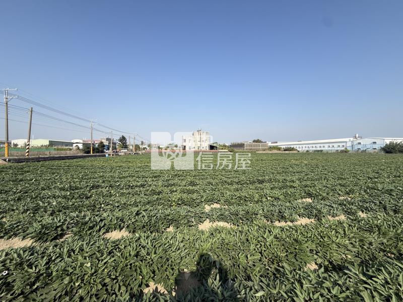 新化1.5分方正農地房屋室內格局與周邊環境