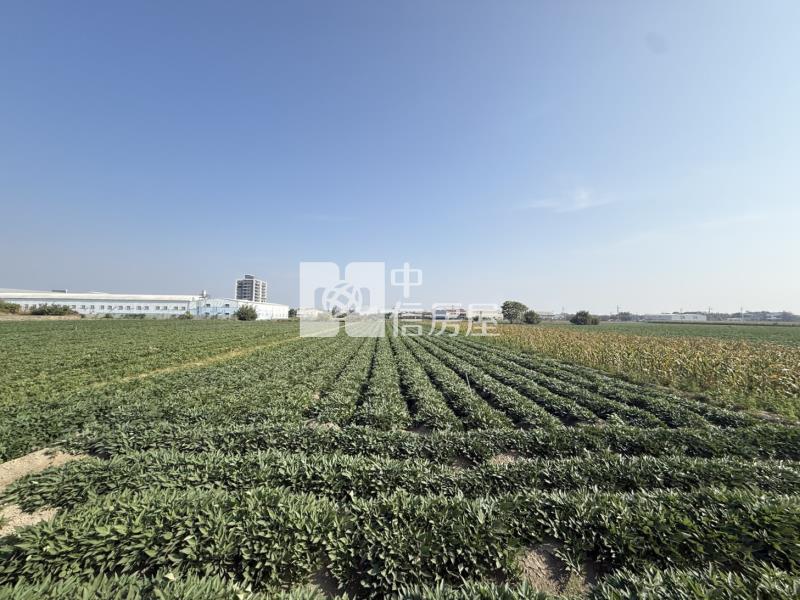 新化1.5分方正農地房屋室內格局與周邊環境