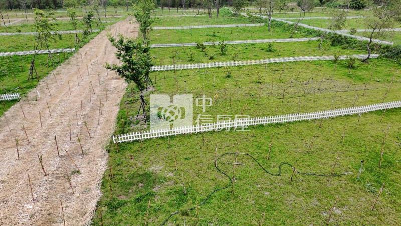 大溪小坪數角田開心農場房屋室內格局與周邊環境