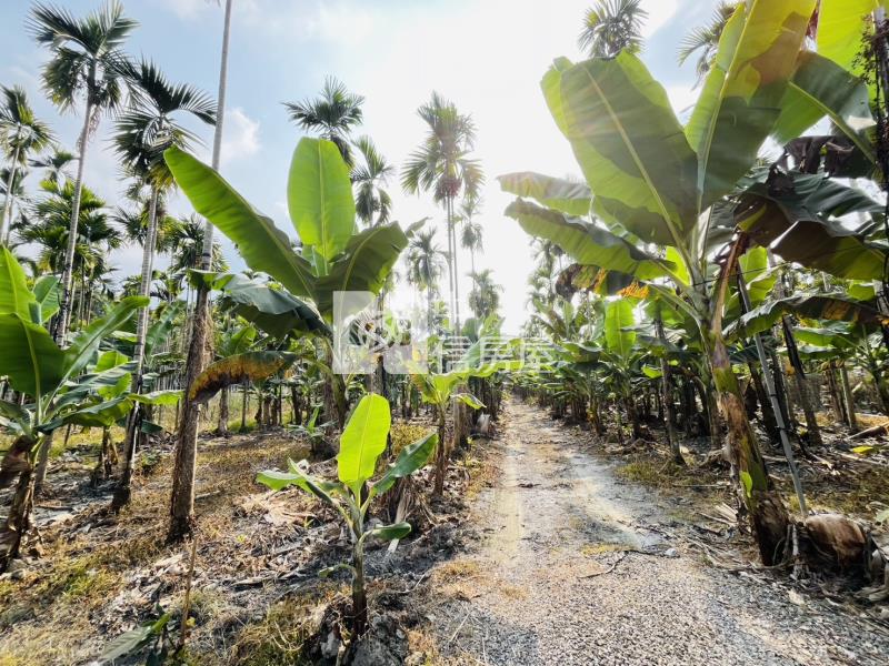近涼山遊憩區.銘泉生態農場旁附資材室農地房屋室內格局與周邊環境