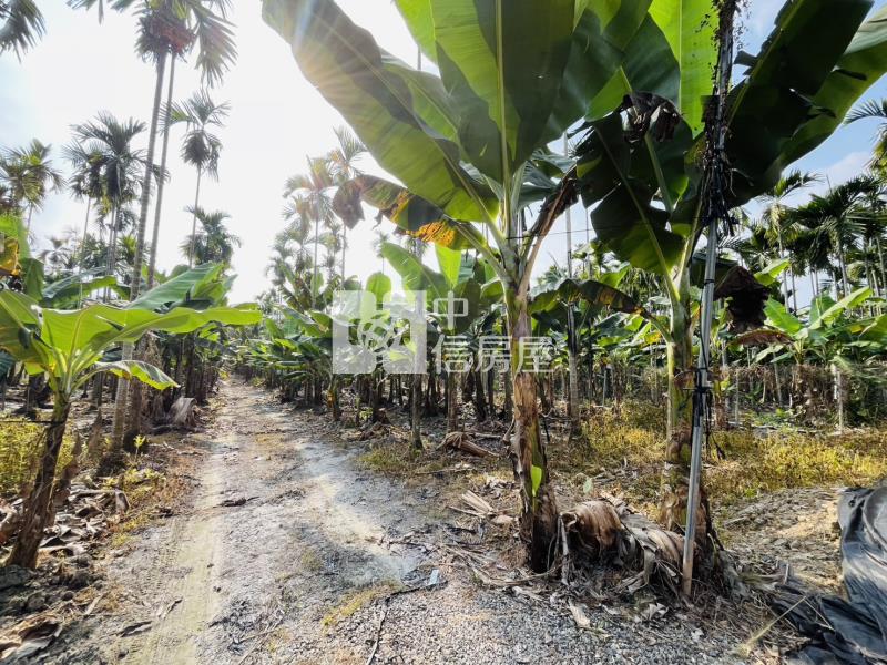 近涼山遊憩區.銘泉生態農場旁附資材室農地房屋室內格局與周邊環境