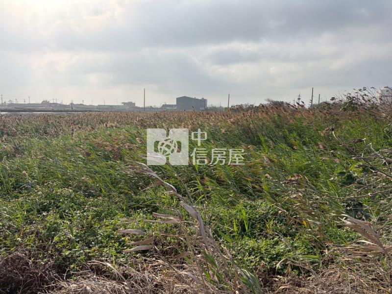 楊厝養殖地房屋室內格局與周邊環境