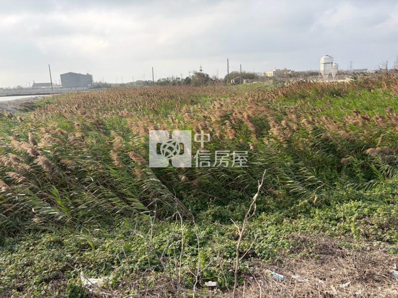 楊厝養殖地房屋室內格局與周邊環境