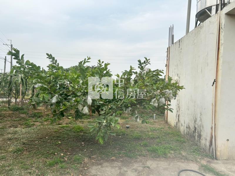 緊臨LM特區開心農場+平房房屋室內格局與周邊環境