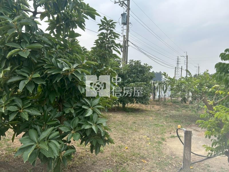 緊臨LM特區開心農場+平房房屋室內格局與周邊環境