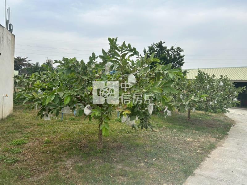 緊臨LM特區開心農場+平房房屋室內格局與周邊環境