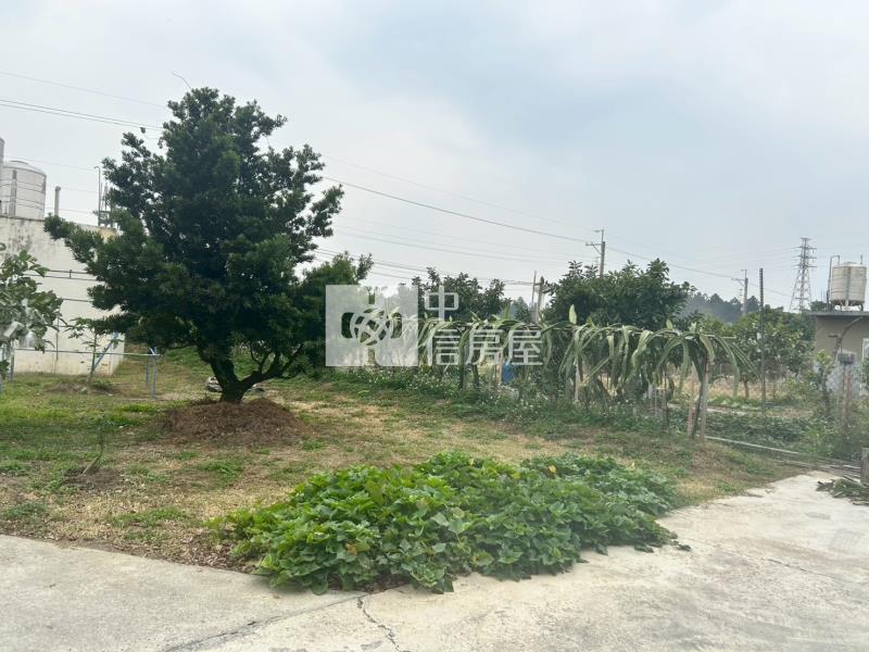 緊臨LM特區開心農場+平房房屋室內格局與周邊環境