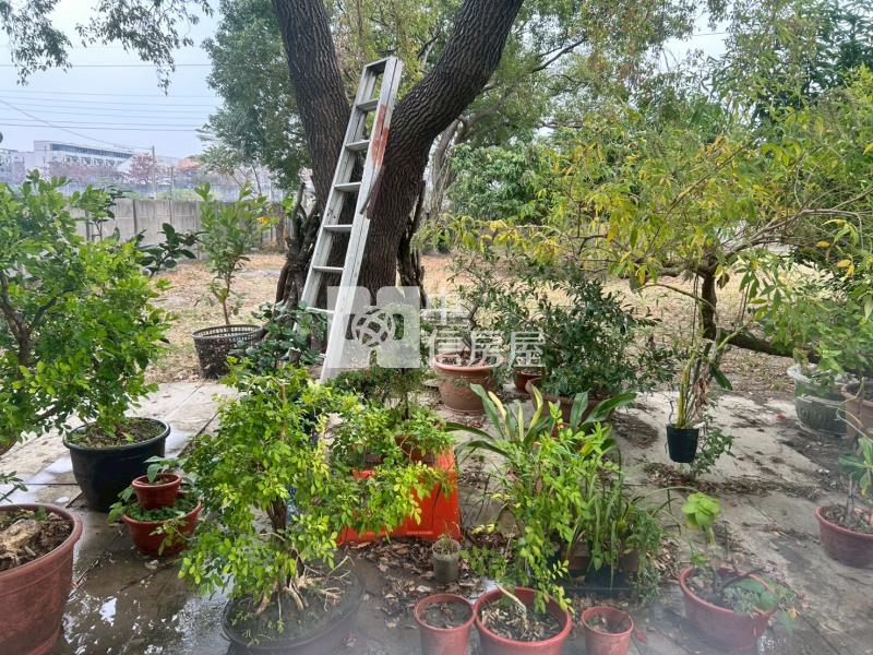 緊臨LM特區開心農場+平房房屋室內格局與周邊環境