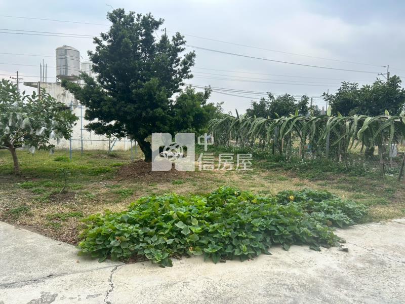 緊臨LM特區開心農場+平房房屋室內格局與周邊環境