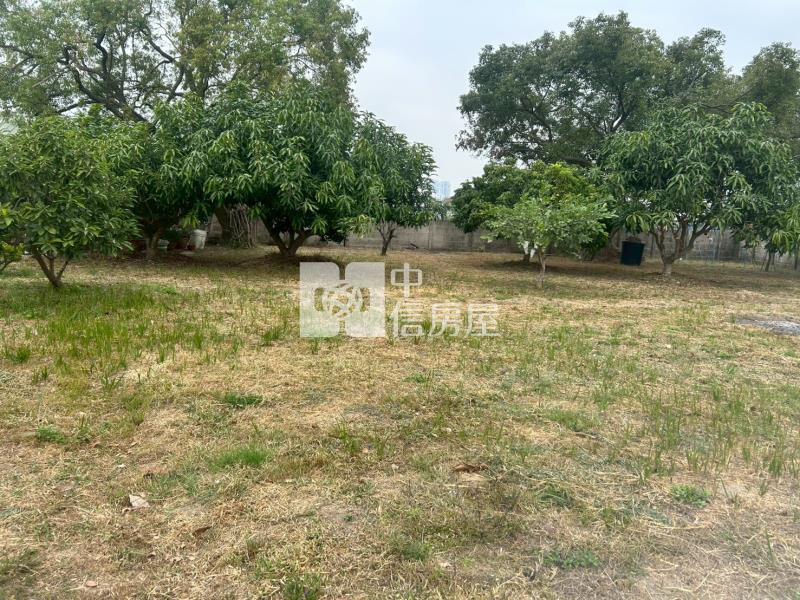 緊臨LM特區開心農場+平房房屋室內格局與周邊環境