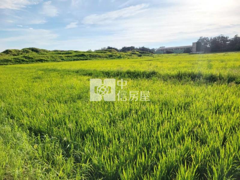 【新世紀】正台61西濱公路旁一般農房屋室內格局與周邊環境