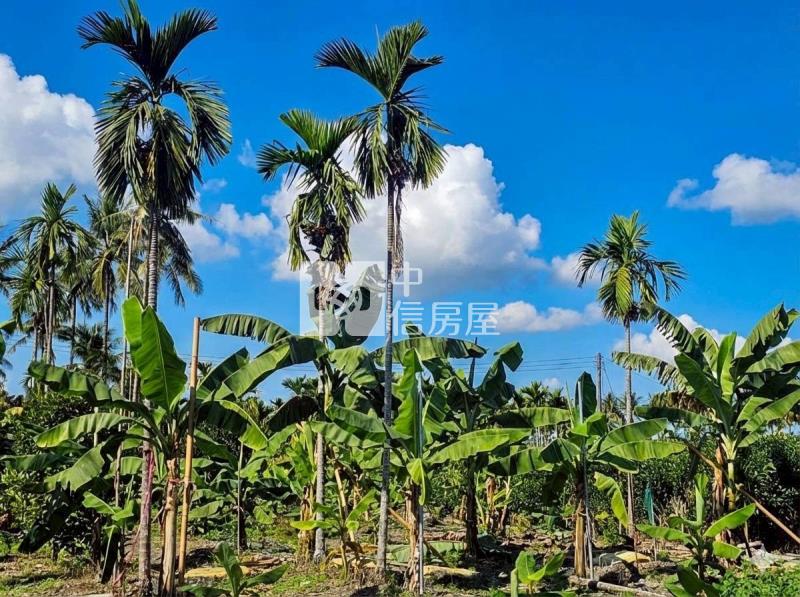 鹽埔合法資材室農地房屋室內格局與周邊環境