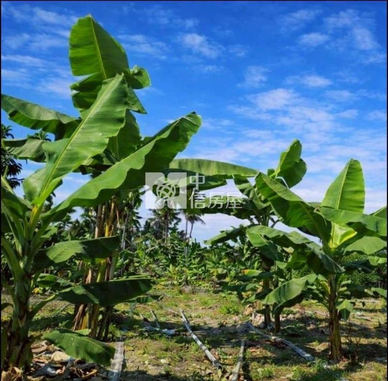 鹽埔合法資材室農地房屋室內格局與周邊環境