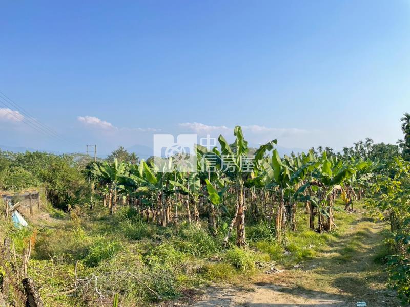 萬巒田園風光自行車道農地房屋室內格局與周邊環境