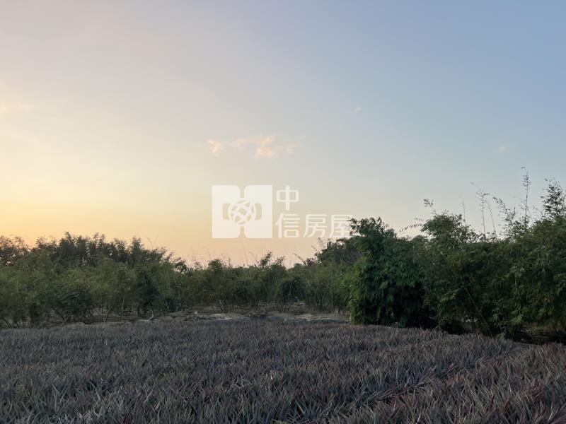 專-歸仁沙崙稀有1.5分美農地房屋室內格局與周邊環境