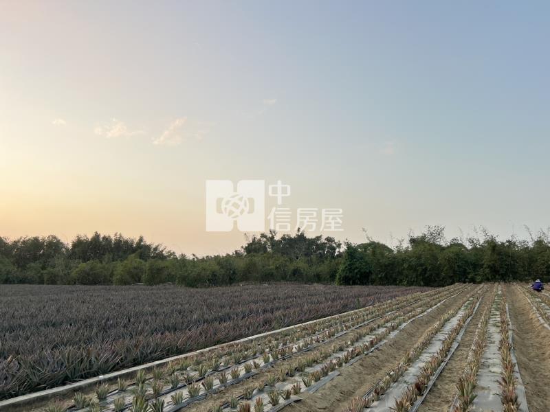 專-歸仁沙崙稀有1.5分美農地房屋室內格局與周邊環境