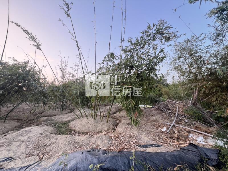 專-歸仁沙崙稀有1.5分美農地房屋室內格局與周邊環境