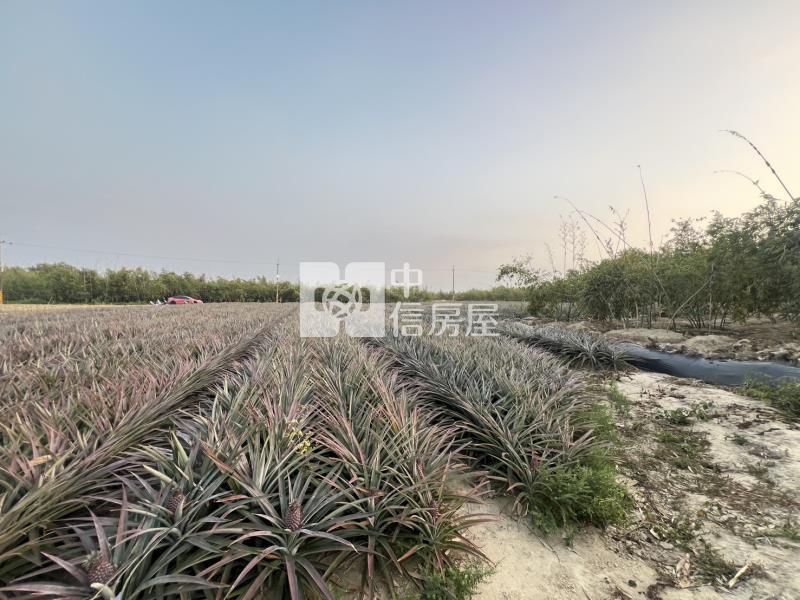 專-歸仁沙崙稀有1.5分美農地房屋室內格局與周邊環境