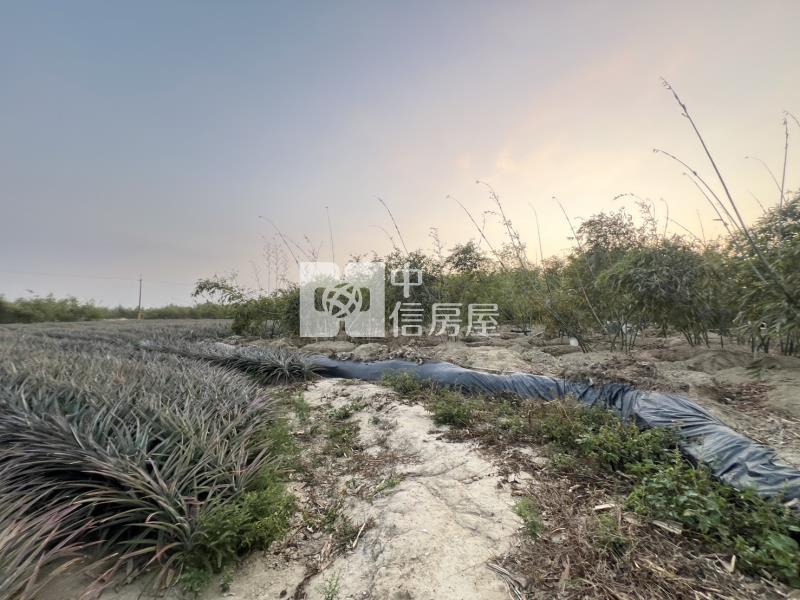 專-歸仁沙崙稀有1.5分美農地房屋室內格局與周邊環境