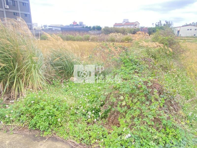 【安家】A19高鐵南路旁漂亮方正農地房屋室內格局與周邊環境