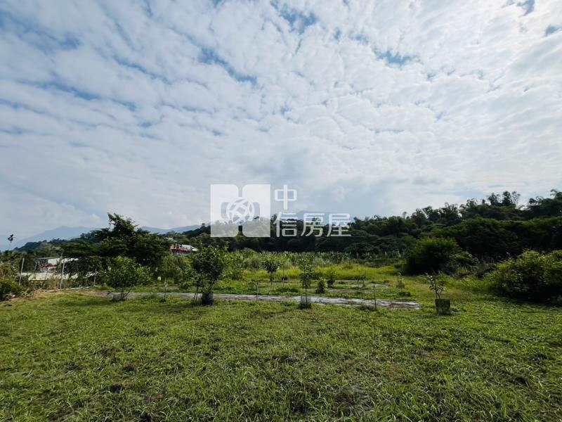 內埔農場段12米路方正農地房屋室內格局與周邊環境