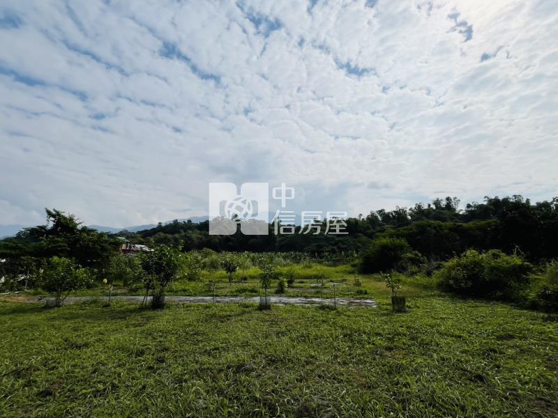 內埔農場段12米路方正農地房屋室內格局與周邊環境