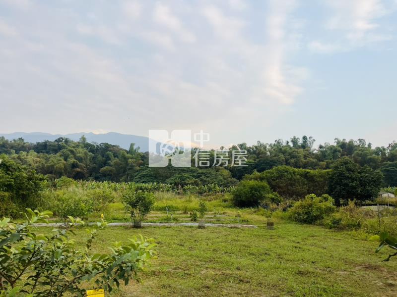 內埔農場段12米路方正農地房屋室內格局與周邊環境