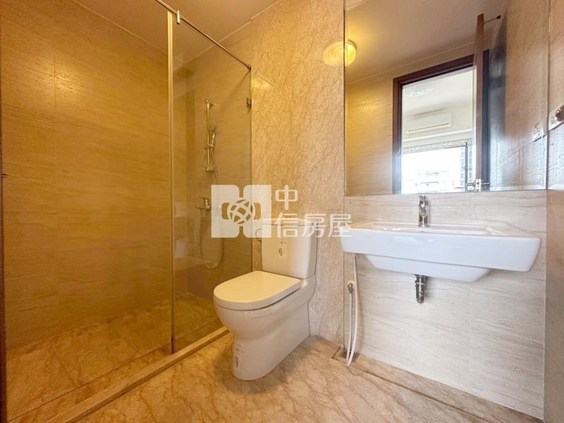 大慶捷運站朝南面公園13期電梯雙車別墅房屋室內格局與周邊環境