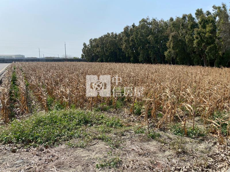 台西五華近78快速道路農地房屋室內格局與周邊環境