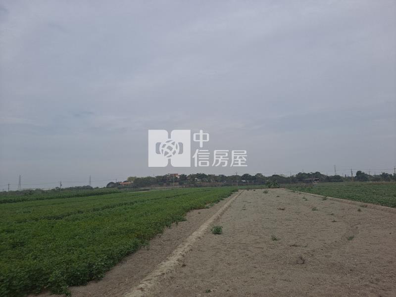 下營賀建國小355坪美農地房屋室內格局與周邊環境