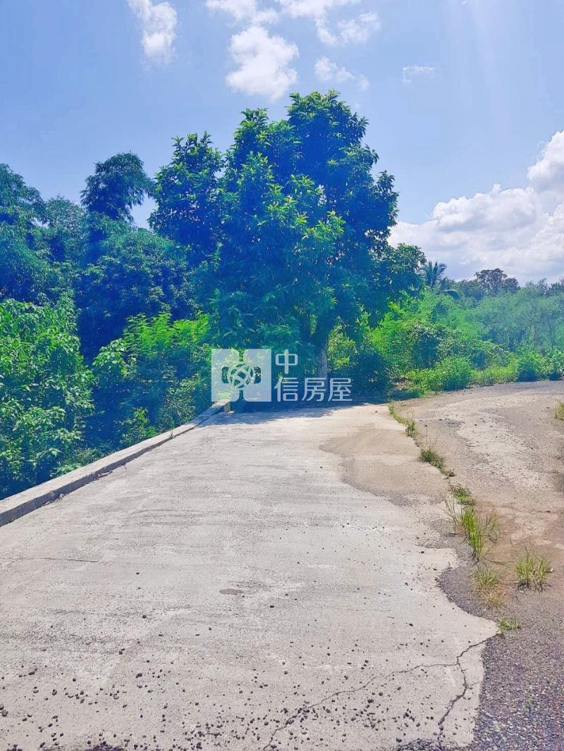 旗山大衛營旁2分9綠金園房屋室內格局與周邊環境