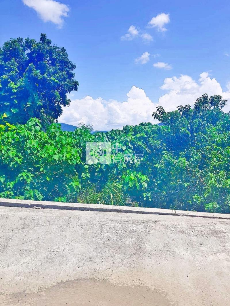 旗山大衛營旁2分9綠金園房屋室內格局與周邊環境