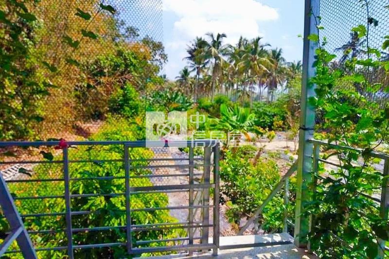 旗山大衛營旁2分9綠金園房屋室內格局與周邊環境