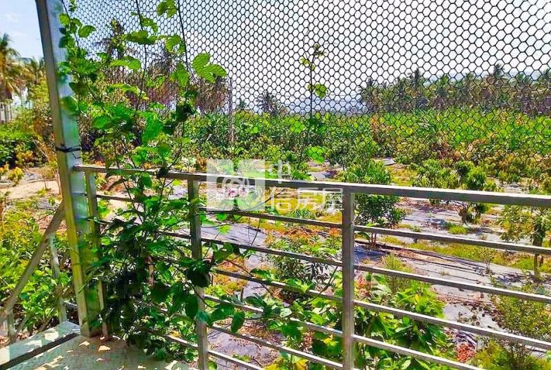 旗山大衛營旁2分9綠金園房屋室內格局與周邊環境