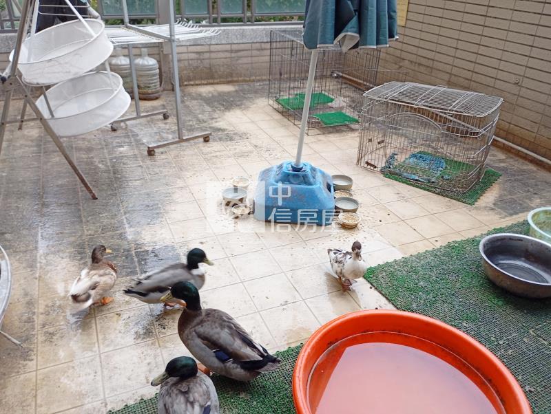 (總太居易)正五權南路震後收租樓店房屋室內格局與周邊環境