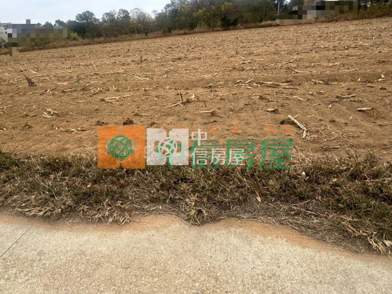 大面積美農地房屋室內格局與周邊環境